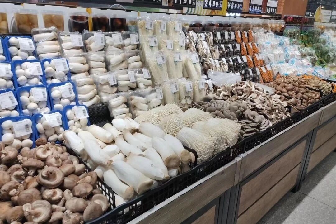 39943d42201e4e191ce5fb8b2d9a187d.jpg 39943d42201e4e191ce5fb8b2d9a187d.jpg